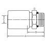 Dayco 108281 DC06-08OR
