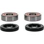 Pivot Works 25-1216-P Eton, Kawasaki Wheel Bearing Kit Premium Bearings