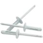 ALLSTAR PERFORMANCE ALL18188 Md Hd Rivet 250Pk White Flange Type Alum Mandrel