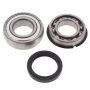 All Balls Racing 14-1056 2007 Yamaha Phazer 500 Jack Shaft Bearing & Seal Kit Upper Shaft
