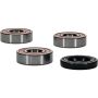 Pivot Works 25-1377-P Yamaha Wheel Bearing Kit Premium Bearings