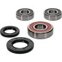 Pivot Works 25-1269-P Suzuki Wheel Bearing Kit Premium Bearings