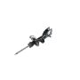 Mopar 68248727AD STRUT, Front Suspension