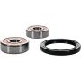 Pivot Works 25-1184-P Kawasaki Wheel Bearing Kit Premium Bearings
