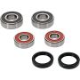 Pivot Works 25-1646-P BMW Wheel Bearing Kit Premium Bearings