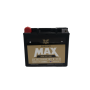 TwinPower 485021 Premium MAX Batteries