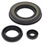 Vertex Pistons 55198 Vertex Gaskets 00-02 Yamaha Mountain Max 600 Oil Seal Kit