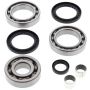 All Balls Racing 25-2056 00-02 Polaris Magnum 325 2x4 Differential Bearing & Seal Kit Rear