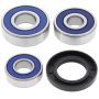 All Balls Racing 25-1487 1999 Suzuki GP 125 (Euro) Wheel Bearing Kit Rear