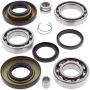 All Balls Racing 25-2012 00-06 Honda TRX350FE Differential Bearing & Seal Kit Rear