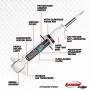 Rancho RS55754 RS5000X Suspension Strut