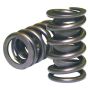 Howards Racing Components 98213 (Vss) Springs