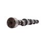 EDELBROCK EDE2261 BBC Hydraulic Roller Cam