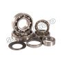 Hot Rods TBK0023 2004 KX 250 F Transmission Bearing Kit