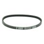 Athena S41PLAT001 Transmission Belts
