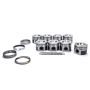 Mahle Motorsport 930029875 Piston Kit