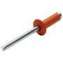 ALLSTAR PERFORMANCE ALL18005 Sm Hd Rivet Orange 250pk