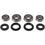 Pivot Works PWFWK-H11-420 Wheel Bearing Kit