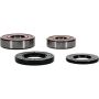 Pivot Works 25-1357-P Yamaha Wheel Bearing Kit Premium Bearings