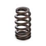 PAC RACING SPRINGS PACPAC-1218-1 1.290 Valve Springs - В Ovate Beehive