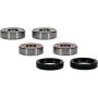 Pivot Works 25-1646-P BMW Wheel Bearing Kit Premium Bearings