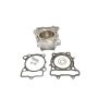 Athena EC510-009 Std Bore Cylinder Kits