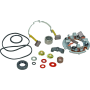 BikeMaster 153899 Honda Starter Rebuild w/ Brush