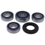 All Balls Racing 25-1771 2000 Yamaha XJ900 (SA) Wheel Bearing Kit Rear