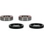 Pivot Works 25-1404-P Wheel Bearing Kit