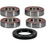 Pivot Works 25-1106-P Husaberg, KTM Wheel Bearing Kit Premium Bearings