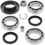 All Balls Racing 25-2014 02-03 Honda TRX400FW Fourtrax Foreman 4x4 Differential Bearing & Seal Kit Rear