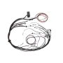 Haltech HT-140879 Elite 1000 Terminated Harness