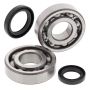 All Balls Racing 24-1038 87-90 Suzuki LT-500R Crank Shaft Bearing Kit