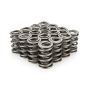 PAC RACING SPRINGS PACPAC-1325-16 1.550 Dual Valve Springs - (16)
