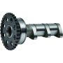 Hot Cams 4288-2IN 09-21 YFZ 450 R/09-21 YFZ 450 R SE Intake Camshaft - Stage 2