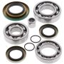 All Balls Racing 25-2086 11-15 Can-Am Outlander 400 STD 4x4 Differential Bearing & Seal Kit Rear