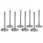 FERREA FERF1168P-8 SBC C/P 2.100 Intake Valves