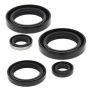 Vertex Pistons 822244 Vertex Gaskets 99-02 Kawasaki KVF300A Prairie 4x4 Oil Seal Kit