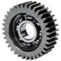 ALLSTAR PERFORMANCE ALL90003 Repl Idler Gear for ALL90000