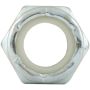ALLSTAR PERFORMANCE ALL16022-10 Thin Nylon Insert Nuts 3/8-16 10pk