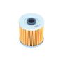 Athena FFC029 Oil Filters