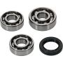 Hot Rods HR00165 09-20 Polaris RZR 170 170cc Counter Balancer Kit