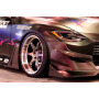 HKS 53004-AN002 BODY KIT TYPE-R FAIRLADY Z CANARD