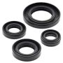 Vertex Pistons 822272 Vertex Gaskets 00-08 Yamaha TTR90 Oil Seal Kit
