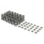Skunk2 Racing 313-14-1000 Skunk2 Toyota Supra MK5 / BMW B58/S58 High Lift Valve Spring & Titanium Retainer Set