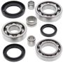 All Balls Racing 25-2020 89-05 Kawasaki KLF300C Bayou 4x4 Differential Bearing & Seal Kit Rear