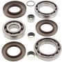 All Balls Racing 25-2080 11-13 Polaris Sportsman 550 Differential Bearing & Seal Kit Rear