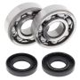 All Balls Racing 24-1062 05-23 Yamaha YZ125 Crank Shaft Bearing Kit