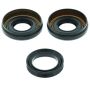 QuadBoss 414110 04-07 Honda TRX400FA/FGA FourTrax Rancher 4x4 AT/AT GPScape Front Differential Seal Kit