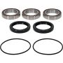 Pivot Works 25-1560-P Kawasaki Wheel Bearing Kit Premium Bearings